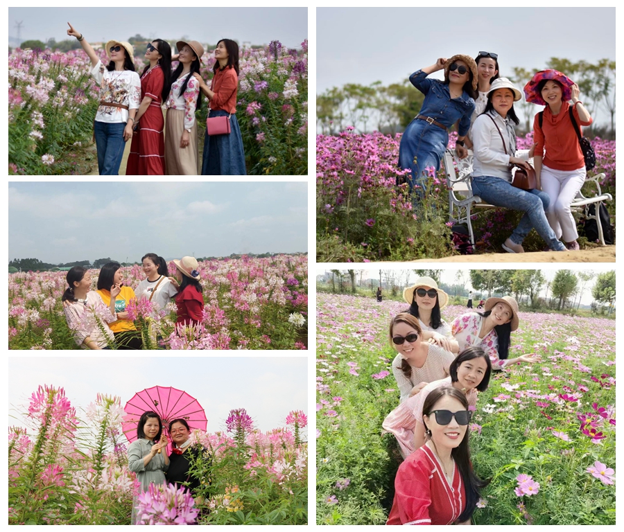 花海拼图.jpg 花海拼图.jpg