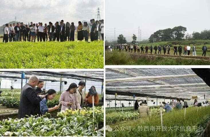 图片5.jpg 图片5.jpg